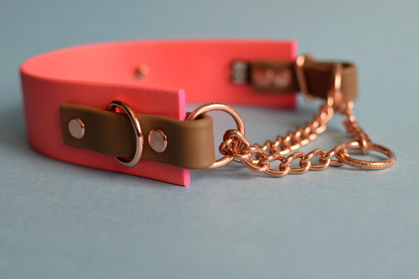 PREMADE COLLECTION - Coral & Coyote Brown Biothane Martingale Dog Collar