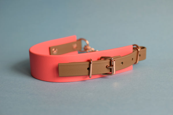 PREMADE COLLECTION - Coral & Coyote Brown Biothane Martingale Dog Collar