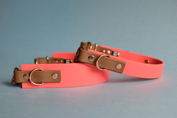 PREMADE COLLECTION - Coral & Coyote Brown Biothane Martingale Dog Collar