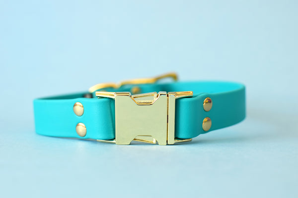 HARDWARE RETIREMENT SALE - Teal & Brass Biothane Dog Collar