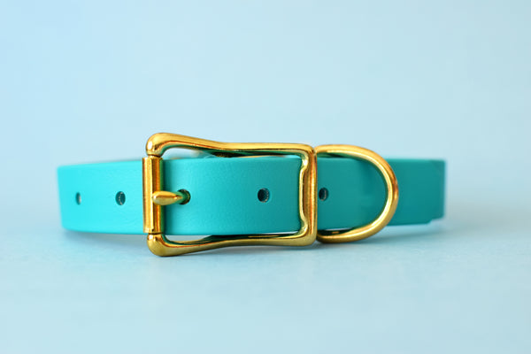 HARDWARE RETIREMENT SALE - Teal & Brass Biothane Dog Collar