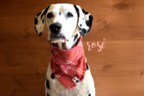 ROSÉ Fringed Flannel Dog Bandana - Snap/Tie On Cotton Scarf