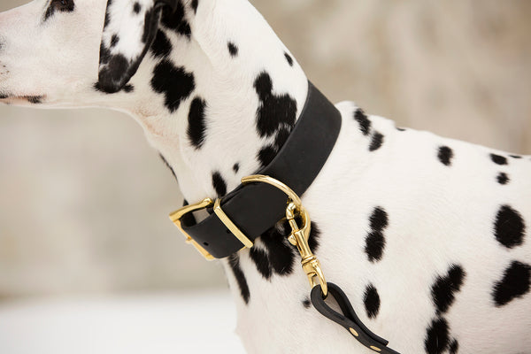 Design Your Own - The Undomiel QR BT Collar, 1.5" Wide Biothane Dog Collar