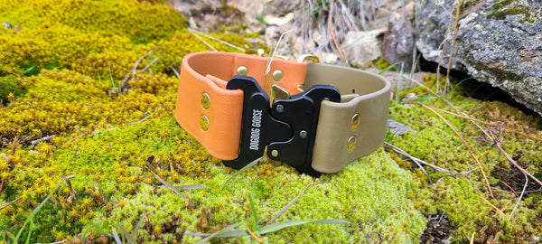 Design Your Own - The Undomiel Tactical QR BT Collar, 1.5" Biothane Dog Collar