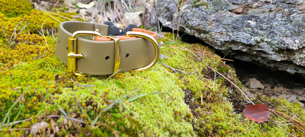 Design Your Own - The Undomiel Tactical QR BT Collar, 1.5" Biothane Dog Collar