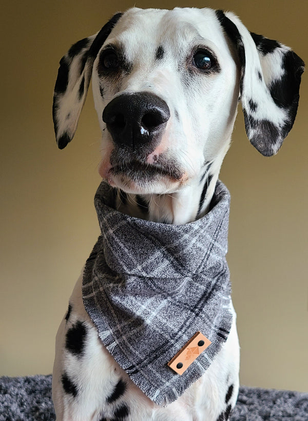 GRAPHITE Fringed Flannel Dog Bandana - Snap/Tie On Cotton Scarf