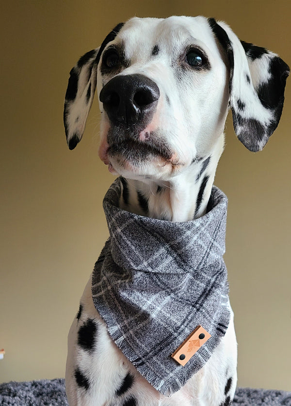 GRAPHITE Fringed Flannel Dog Bandana - Snap/Tie On Cotton Scarf