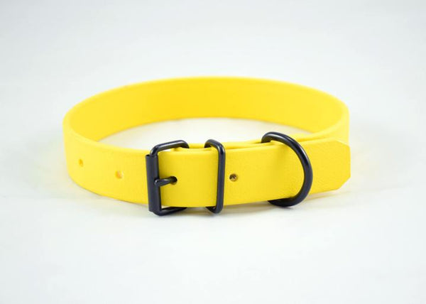 Design Your Own - The Elessar BT Collar, 1" Biothane Dog Collar