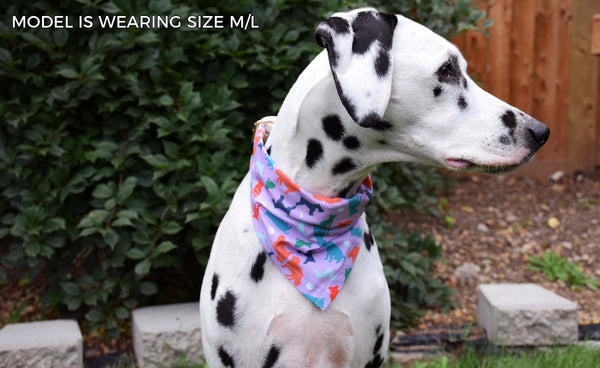 Dog Bandana - Home Town Cotton Dog Scarf