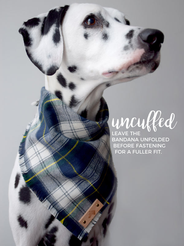 EMERALD Fringed Flannel Dog Bandana - Snap/Tie On Cotton Scarf