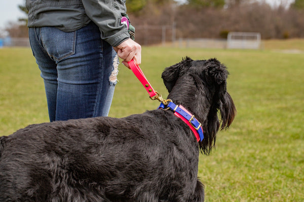 Design Your Own - Biothane Short Leash Key Fob