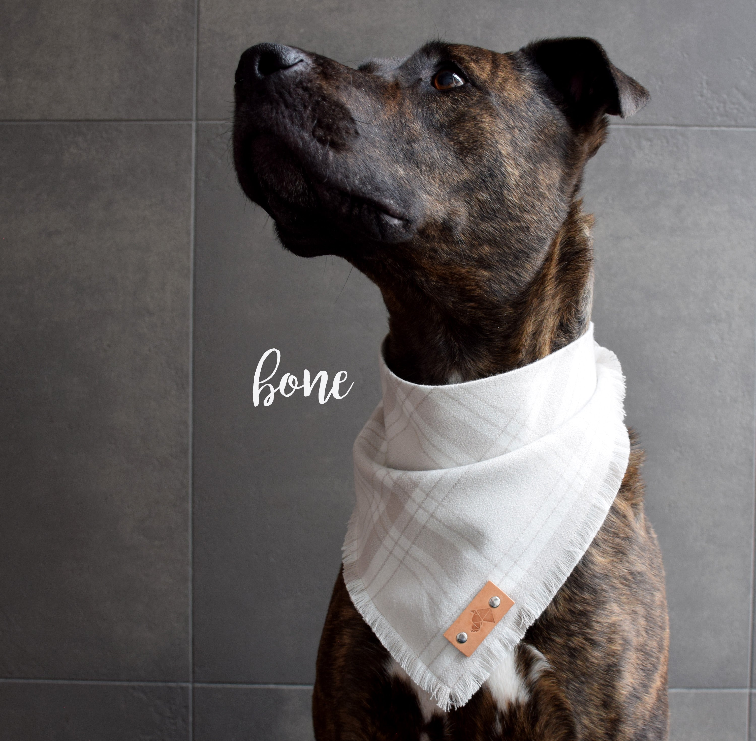 Dog bone best sale bandana