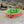 Load image into Gallery viewer, PREMADE COLLECTION - Lime &amp; Hot Pink Biothane Dog Collar

