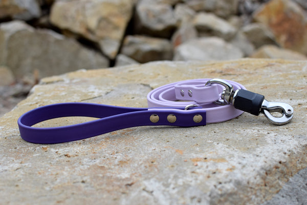 PREMADE COLLECTION - Pastel Purple & Purple Biothane Dog Leash