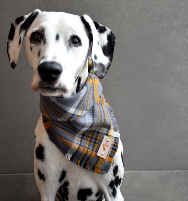 TURMERIC Fringed Flannel Dog Bandana - Snap/Tie On Cotton Scarf