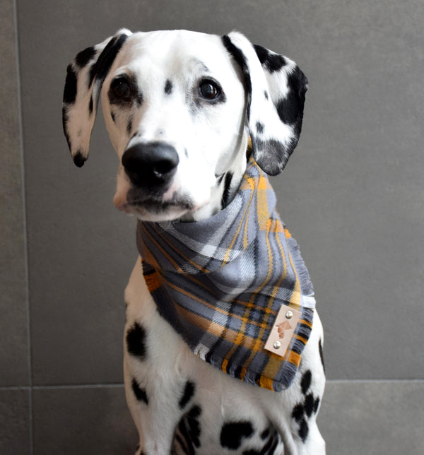 TURMERIC Fringed Flannel Dog Bandana - Snap/Tie On Cotton Scarf