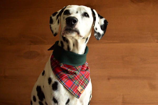FALKIRK Reversible Cotton Dog Bandana - Snap/Tie On Cotton Scarf