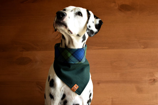 PERTH Reversible Cotton Dog Bandana - Snap/Tie On Cotton Scarf