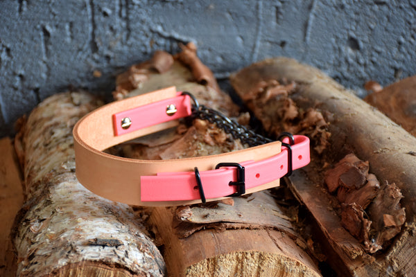 EXCLUSIVE LEATHER COLLECTION - Natural Tan & Coral, Limited Edition Biothane and Leather Combo Martingale Dog Collar