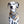Load image into Gallery viewer, SCHRUTE Fringed Flannel Dog Bandana - Snap/Tie On Cotton Scarf
