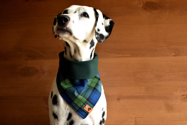 PERTH Reversible Cotton Dog Bandana - Snap/Tie On Cotton Scarf