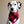 Load image into Gallery viewer, HOBBS Fringed Flannel Dog Bandana - Snap/Tie On Cotton Scarf
