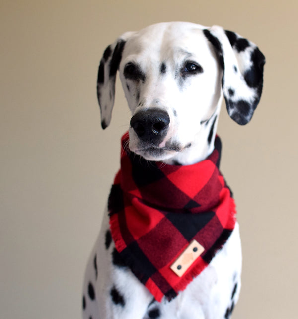 HOBBS Fringed Flannel Dog Bandana - Snap/Tie On Cotton Scarf
