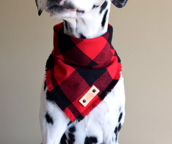 HOBBS Fringed Flannel Dog Bandana - Snap/Tie On Cotton Scarf