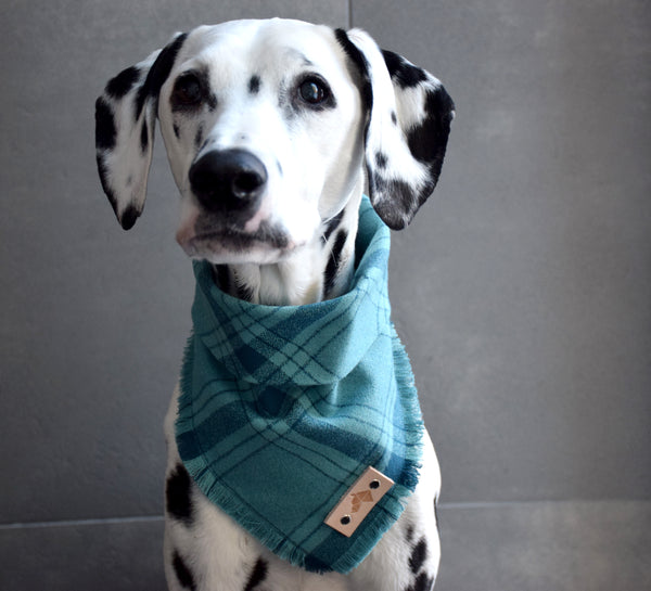 ARENDELLE Fringed Flannel Dog Bandana - Snap/Tie On Cotton Scarf