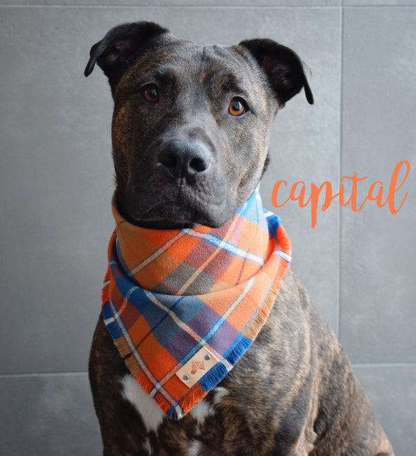 CAPITAL Fringed Flannel Dog Bandana - Snap/Tie On Cotton Scarf