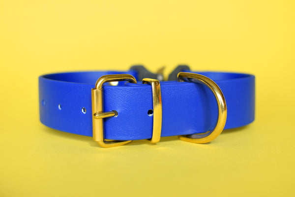 PREMADE COLLECTION - Royal & Brass Biothane Dog Collar
