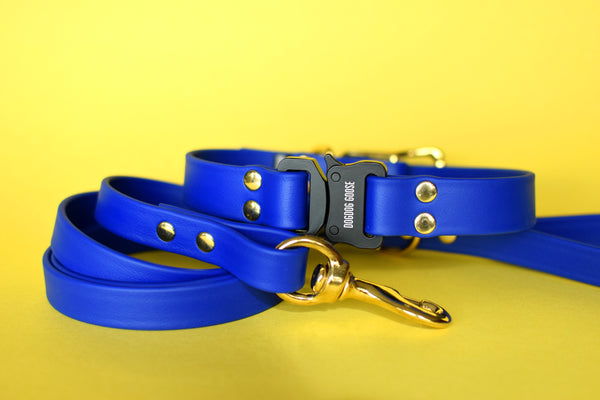 PREMADE COLLECTION - Royal & Brass Biothane Dog Collar