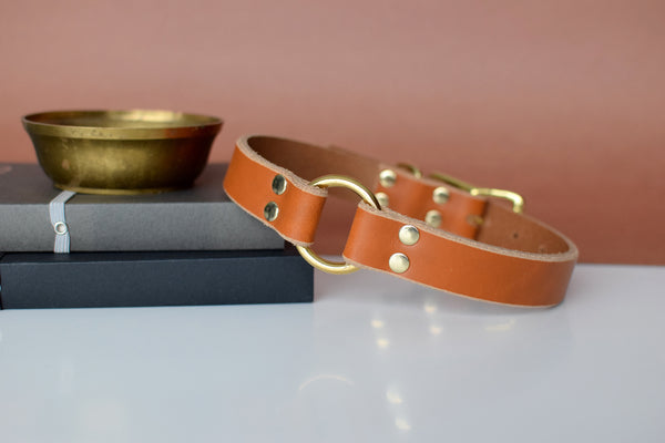 EXCLUSIVE LEATHER COLLECTION - Sequoia O-Ring Leather Collar