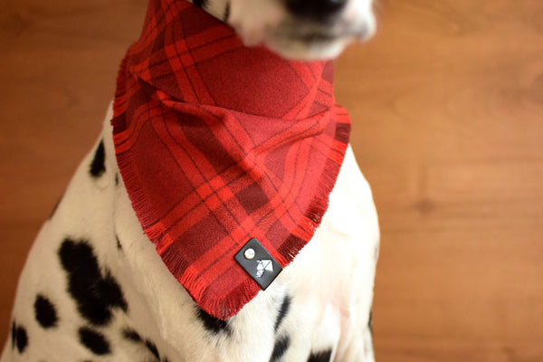 CRIMSON Fringed Flannel Dog Bandana - Snap/Tie On Cotton Scarf