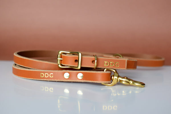 EXCLUSIVE LEATHER COLLECTION - Sequoia O-Ring Leather Collar
