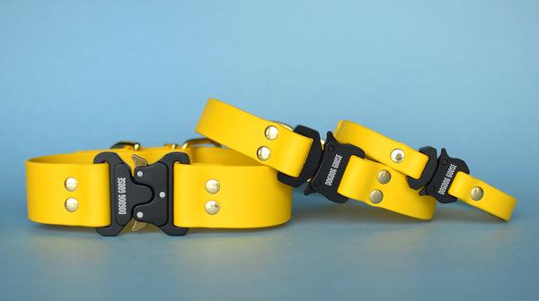 PREMADE COLLECTION - Yellow & Brass Biothane Dog Collar