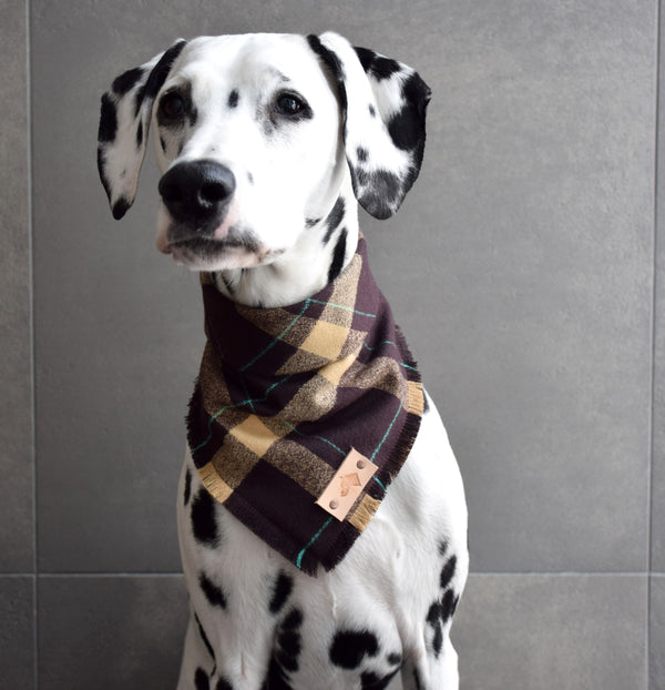 ESPRESSO Fringed Flannel Dog Bandana - Snap/Tie On Cotton Scarf