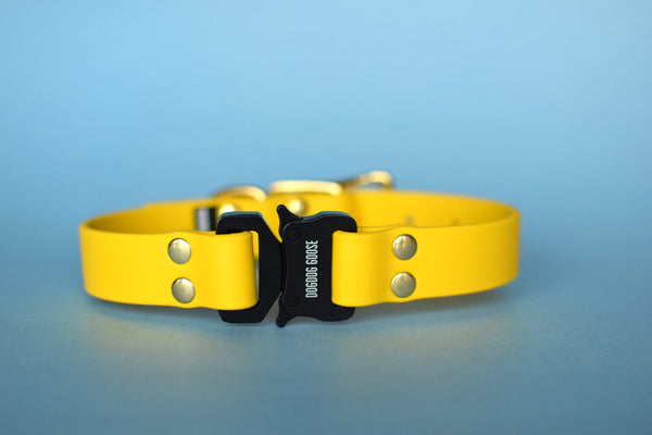 PREMADE COLLECTION - Yellow & Brass Biothane Dog Collar
