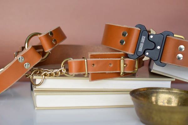 EXCLUSIVE LEATHER COLLECTION - Sequoia Tactical QR Leather Collar