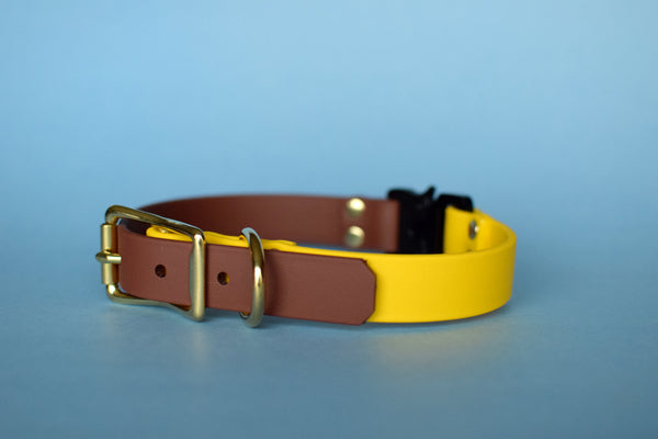 PREMADE COLLECTION - Yellow & Medium Brown with Brass Biothane Dog Collar