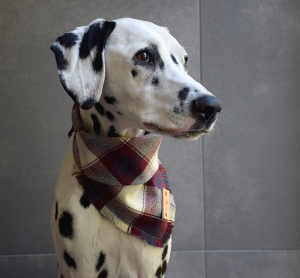 FIRESIDE Fringed Flannel Dog Bandana - Snap/Tie On Cotton Scarf