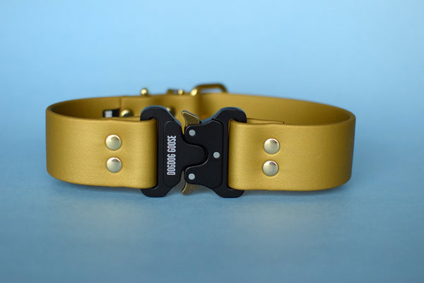 PREMADE COLLECTION - Gold & Brass Biothane Dog Collar