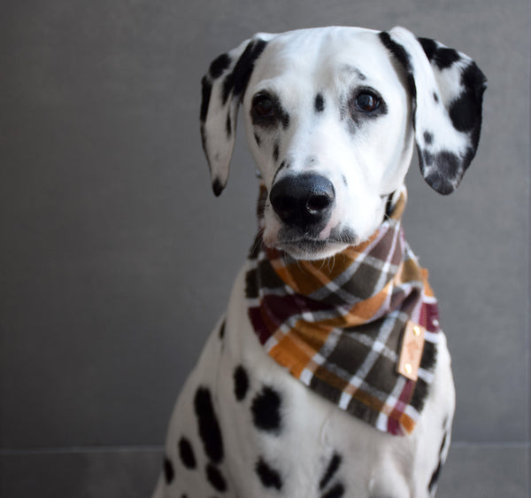 CIDER HOUSE Fringed Flannel Dog Bandana - Snap/Tie On Cotton Scarf