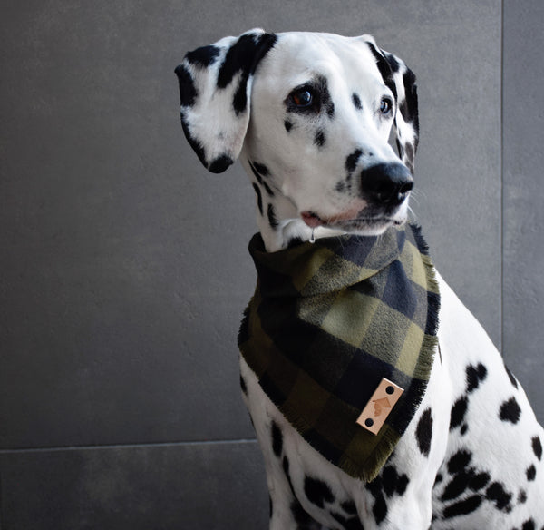 LICHEN Fringed Flannel Dog Bandana - Snap/Tie On Cotton Scarf