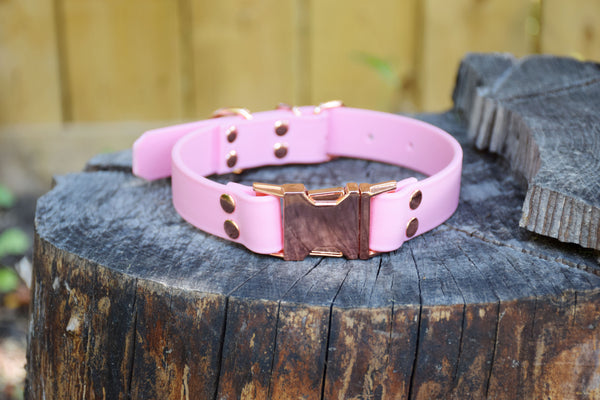 Design Your Own - The Elessar QR BT Collar, 1" Biothane & Rose Gold Dog Collar