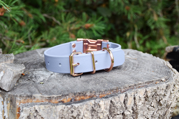 Design Your Own - The Elessar QR BT Collar, 1" Biothane & Rose Gold Dog Collar