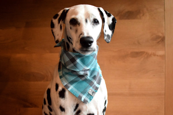 PEYTO Fringed Flannel Dog Bandana - Snap/Tie On Cotton Scarf