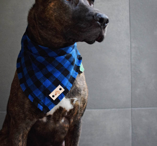 COBALT Fringed Flannel Dog Bandana - Snap/Tie On Cotton Scarf
