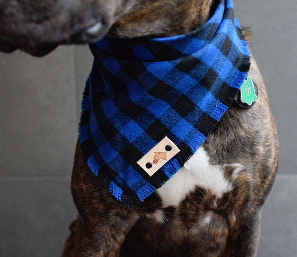 COBALT Fringed Flannel Dog Bandana - Snap/Tie On Cotton Scarf