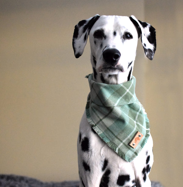 JADE Fringed Flannel Dog Bandana - Snap/Tie On Cotton Scarf